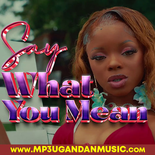 Say What You Mean - Pinky MP3UG Music